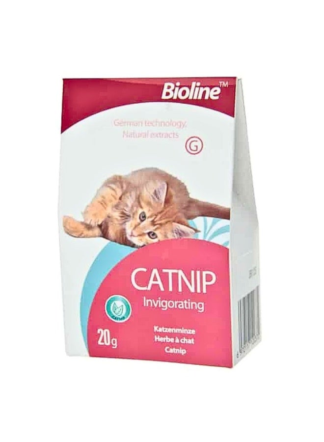 Catnip – 20g